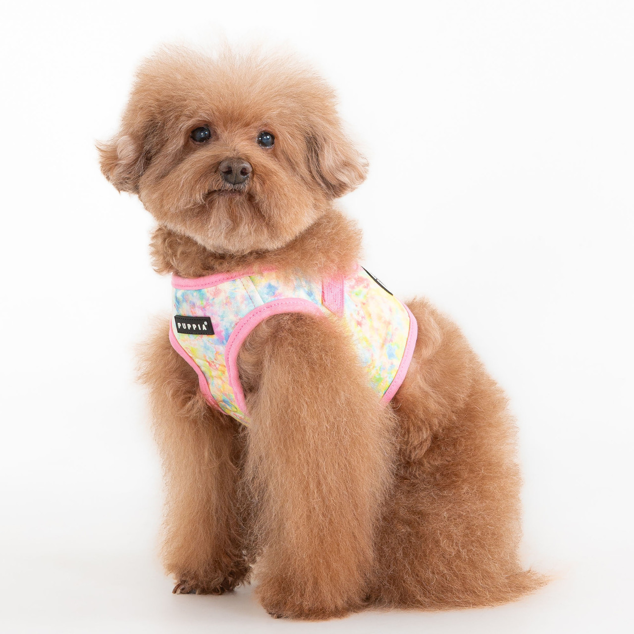 Puppia Nola Cotton Vest Harness B
