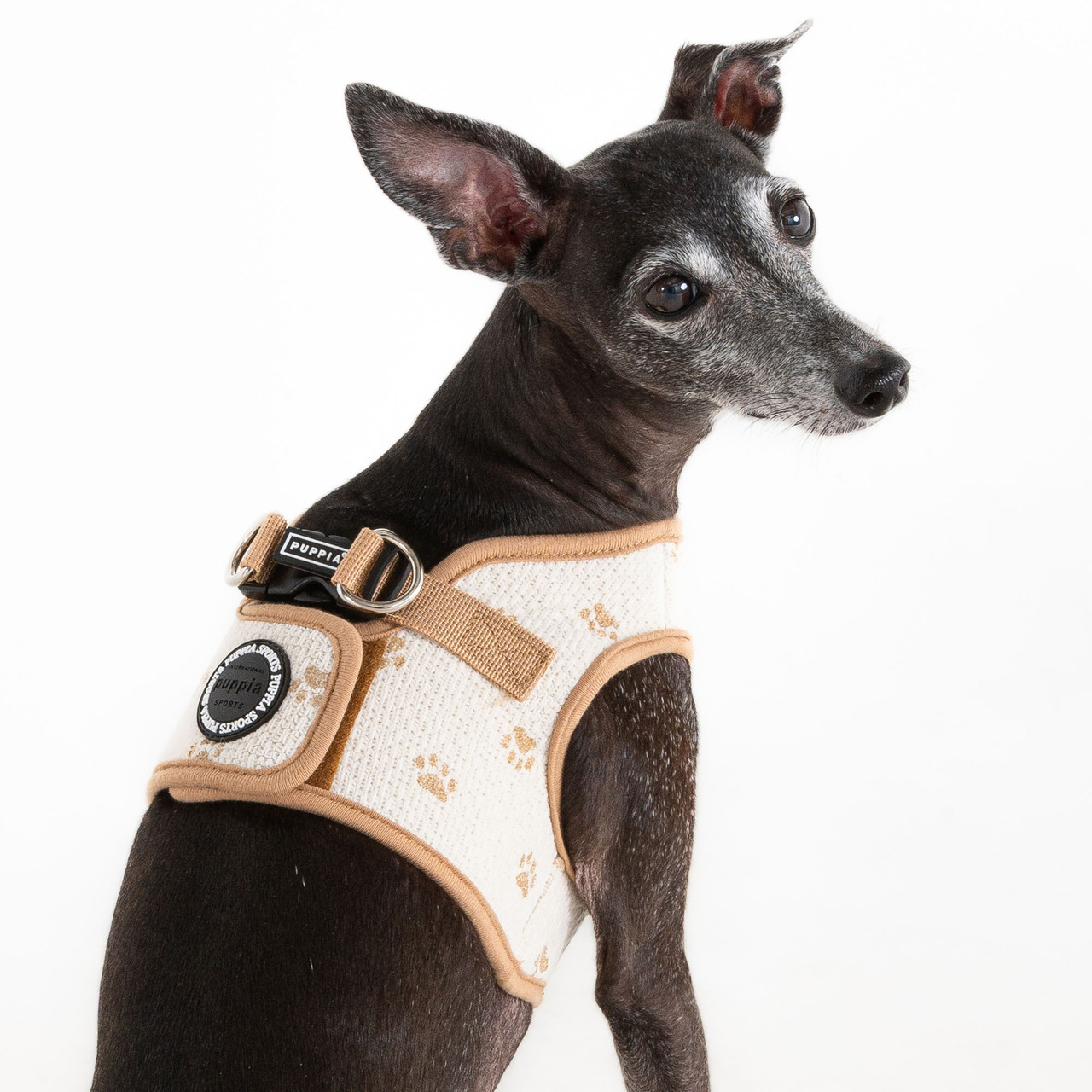 Puppia Pawprint Vest Harness B