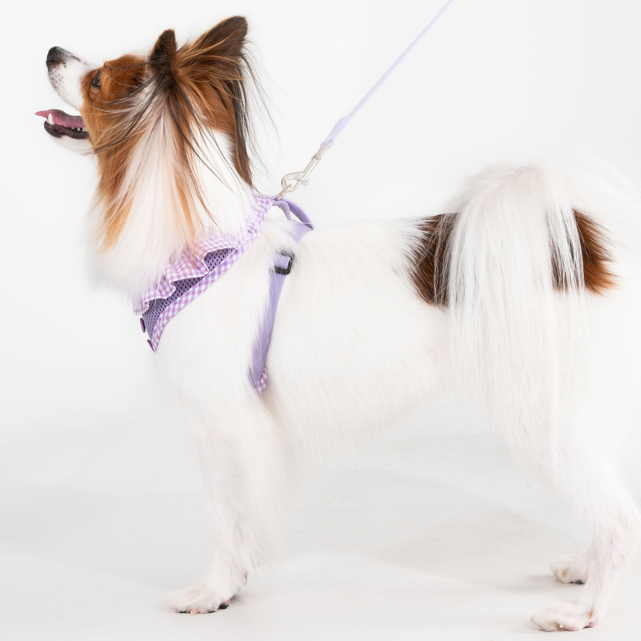 Puppia Vivien Harness-NEW COLOR VIOLET