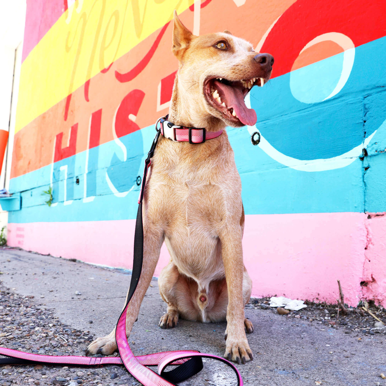 Herringbone Collar-Mimi Green