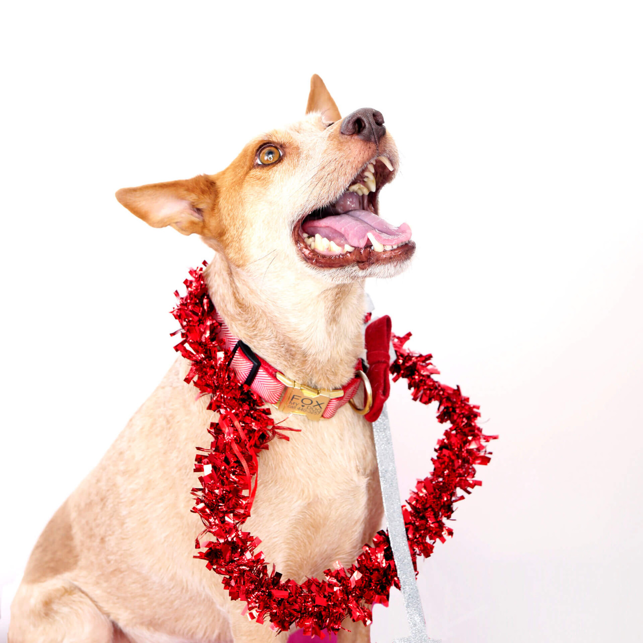 Herringbone Collar-Mimi Green