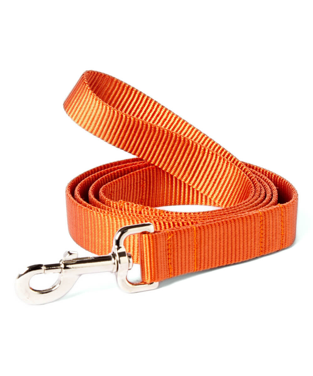 Solid Webbing Leash-Mimi Green-option for personalized embroidery