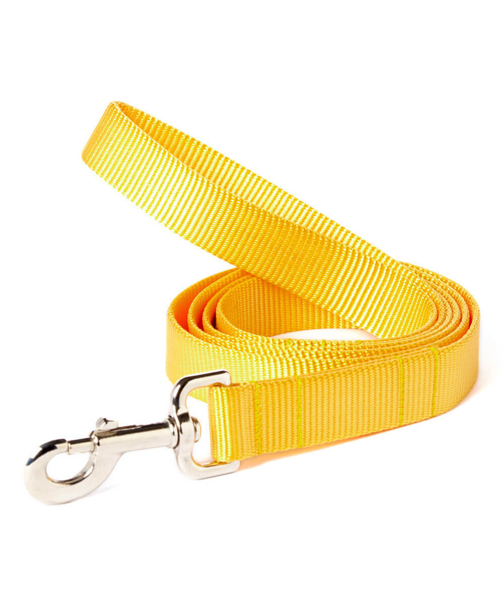 Solid Webbing Leash-Mimi Green-option for personalized embroidery