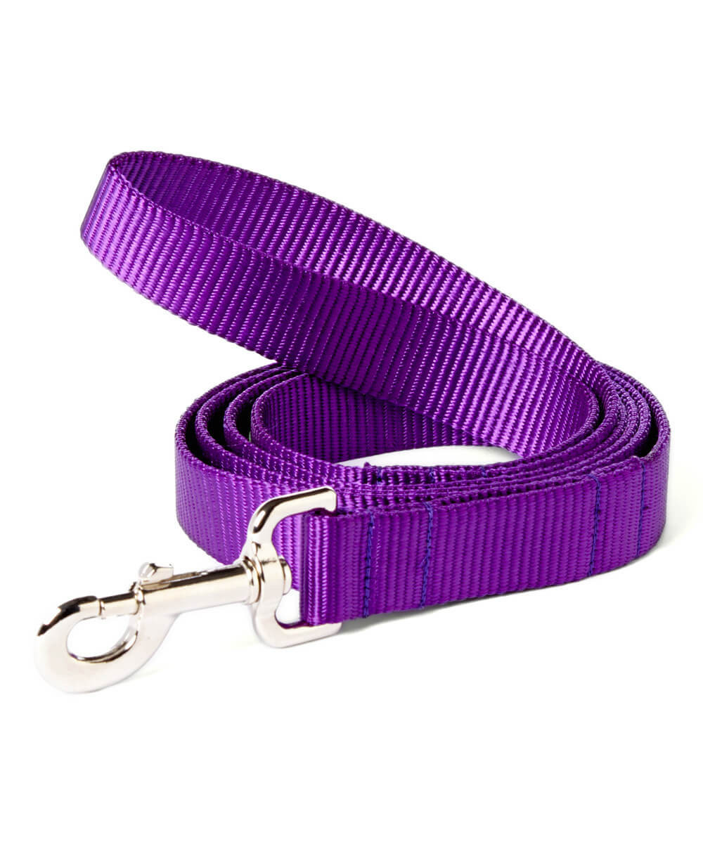 Solid Webbing Leash-Mimi Green-option for personalized embroidery