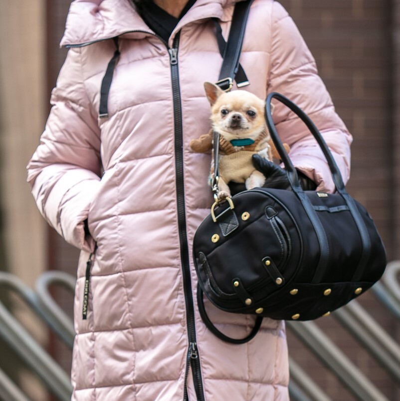 MERÏKH Small Nylon/Vegan Leather Black Pet Carrier