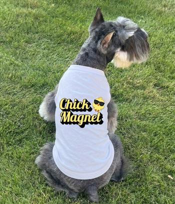 Chick Magnet Dog Shirt - White