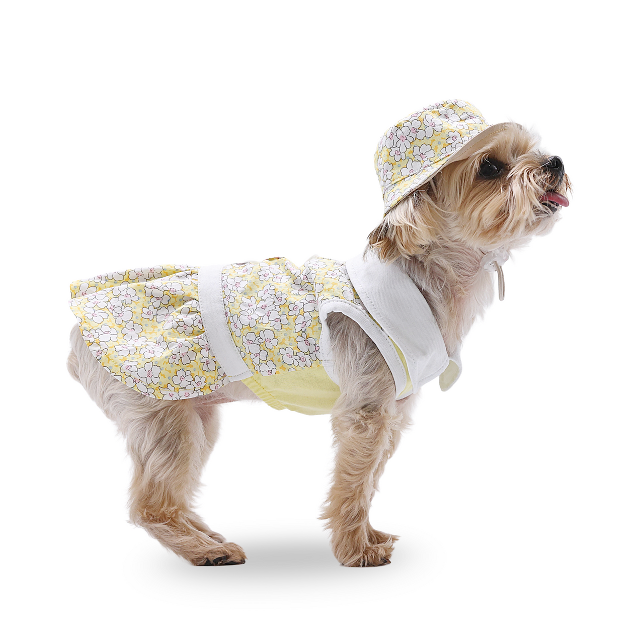 Dogo Summer Daisy Dress