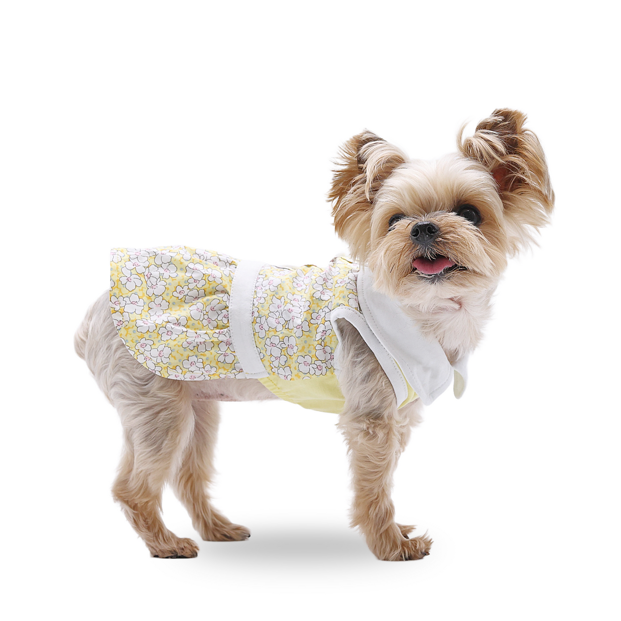 Dogo Summer Daisy Dress