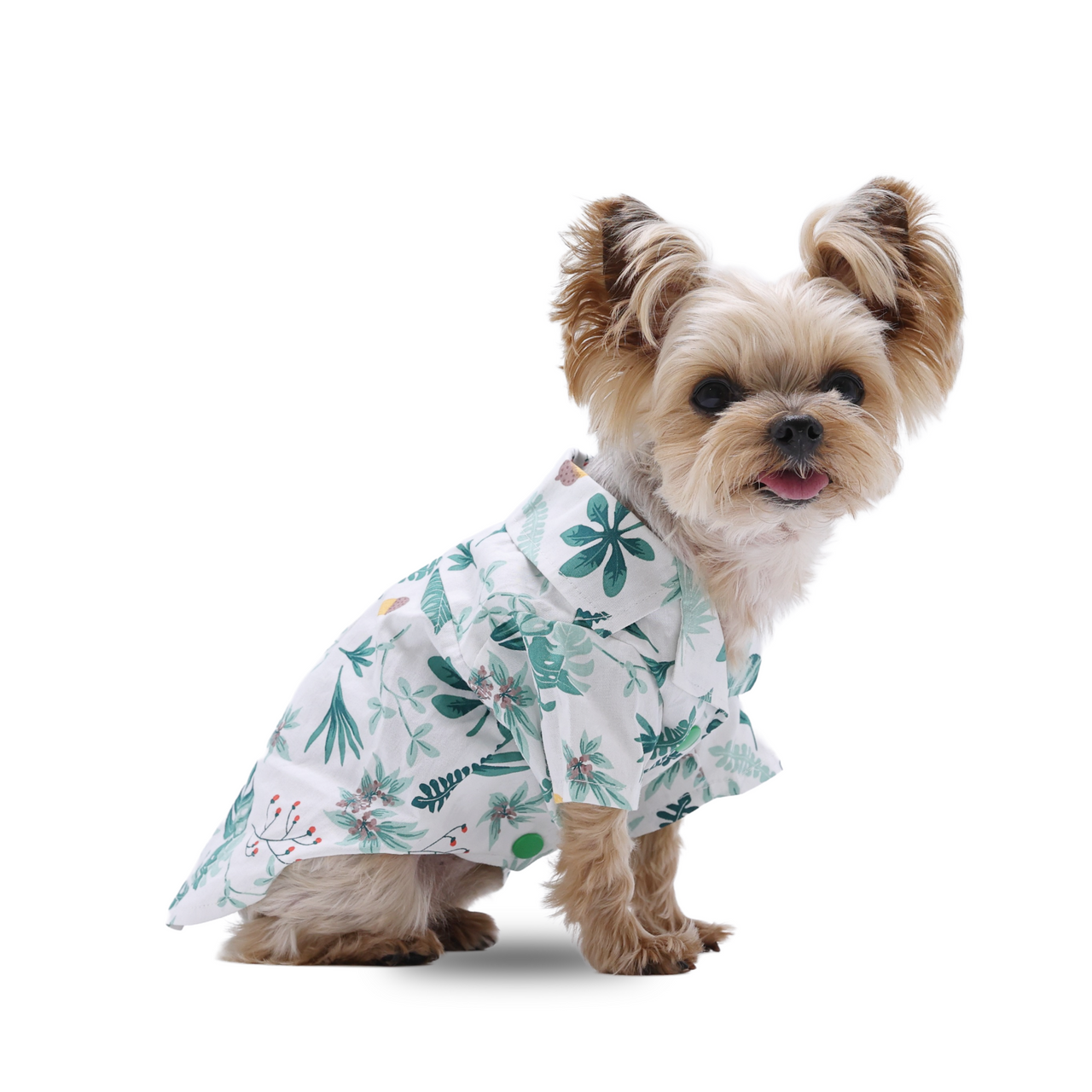 Dogo Woodland Shirt