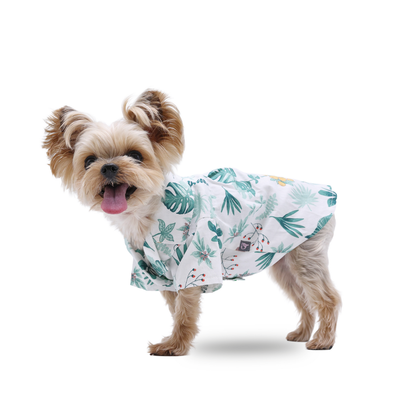 Dogo Woodland Shirt