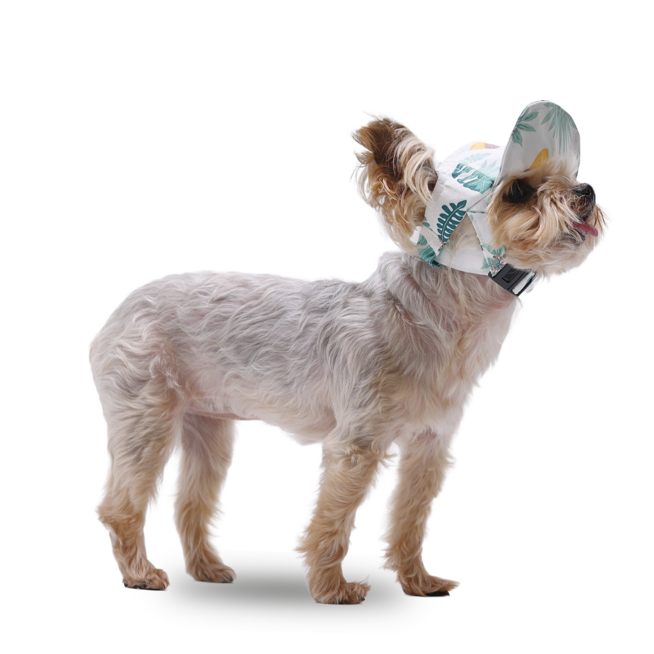 Dogo Woodland Hat 