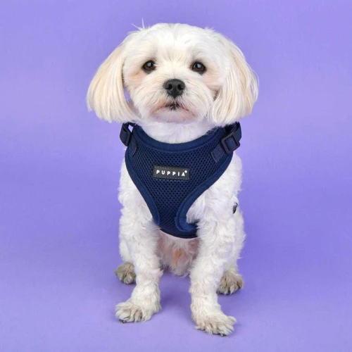Puppia Ritefit Harness