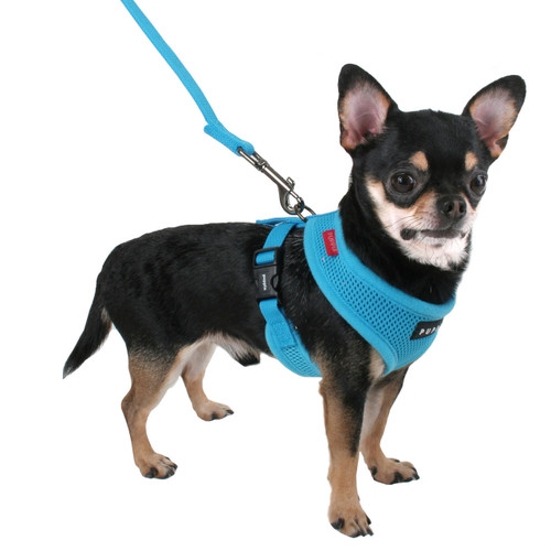 Puppia/Pinkaholic Puppia Soft Mesh Dog Harness - Buy 3 For $15.95 each 