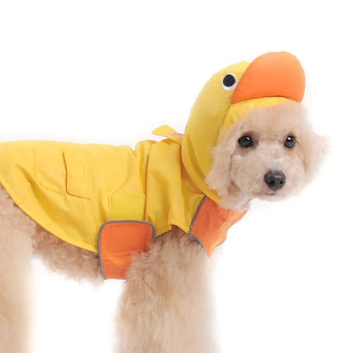 Dogo Duck Raincoat 