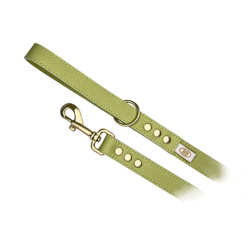Buddy Belt  Luxury Fashion Colors Leather Leash  