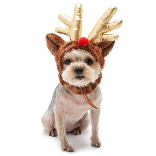 Dogo Rudolph Hat 
