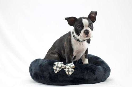  Susan Lanci Black Spa Bed with Windsor Bow 