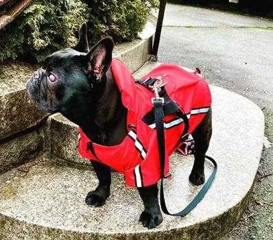 NYD Harness Raincoat with Reflective Trim