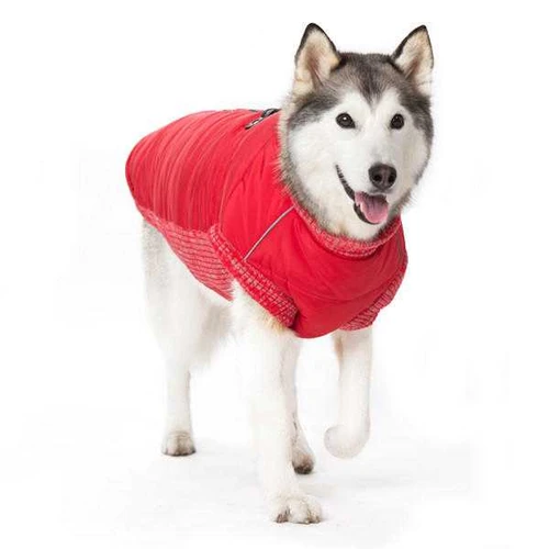 Runner Coat For Big Dogs