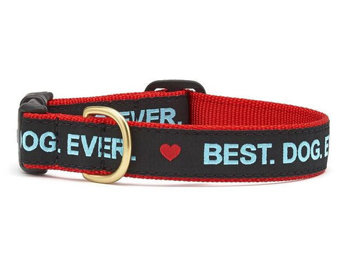 Up Country Hundehalsband FLT-C-S – Schwimmfähig, Schmal (5/8 Zoll), Größe S