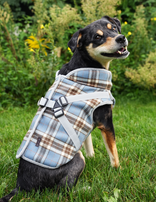 NYD Step In Jacket Harness