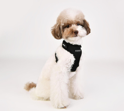 Puppia/Pinkaholic Puppia Soft Superior Harness-FINAL SALE 