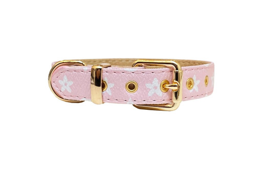 Lily Collar and Leash Set - The New York Dog Shop