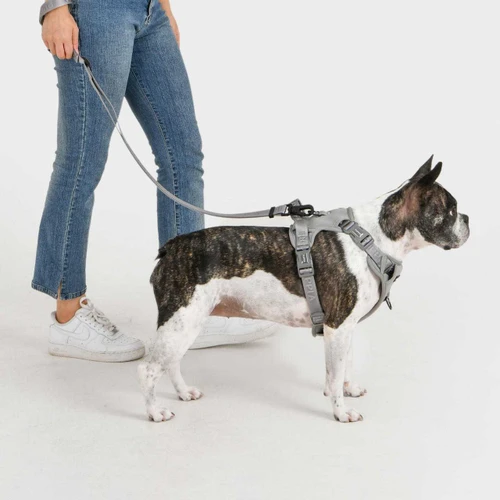 Puppia Jarek Harness H with Handle