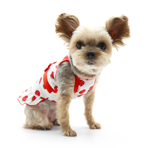  Dogo Strawberry Dress 