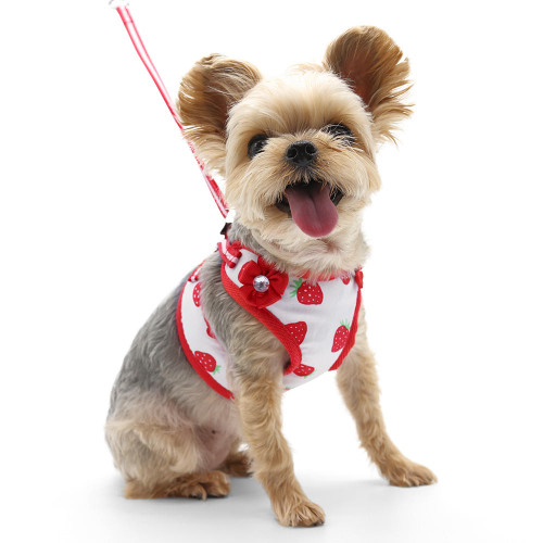 Dogo EasyGo Strawberry Harness 