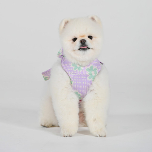 Pinkaholic New York Hunde-Leine 'Niki' - Größe M, Farbe Lila, Weich & Atmungsaktiv