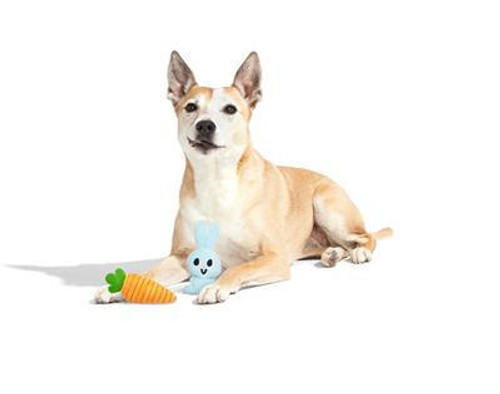  BARK Harriet & Carrot Toy Set 