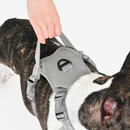Puppia/Pinkaholic Puppia Jarek Harness H with Handle-FINAL SALE 