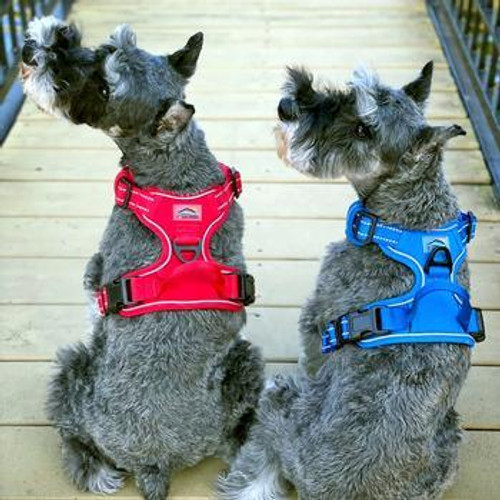 Doggie Design Venture Paw Pull Control Dog Harness  Doggie Design Venture Paw Pull Control Dog Harness