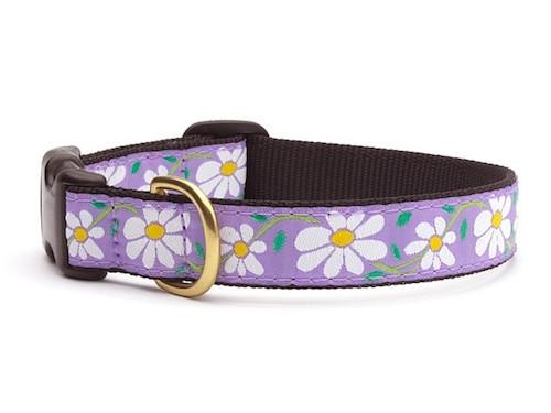 Up Country Daisy Dog Collar 