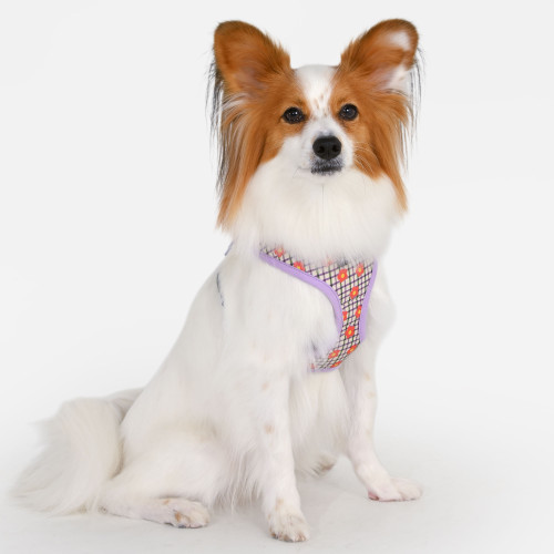 Puppia Westley Cotton Harness A