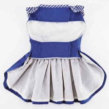 Blue Gingham Cotton Dress & Matching Leash