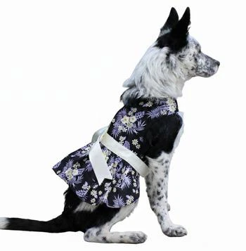 Purple Twilight Dress & Matching Leash