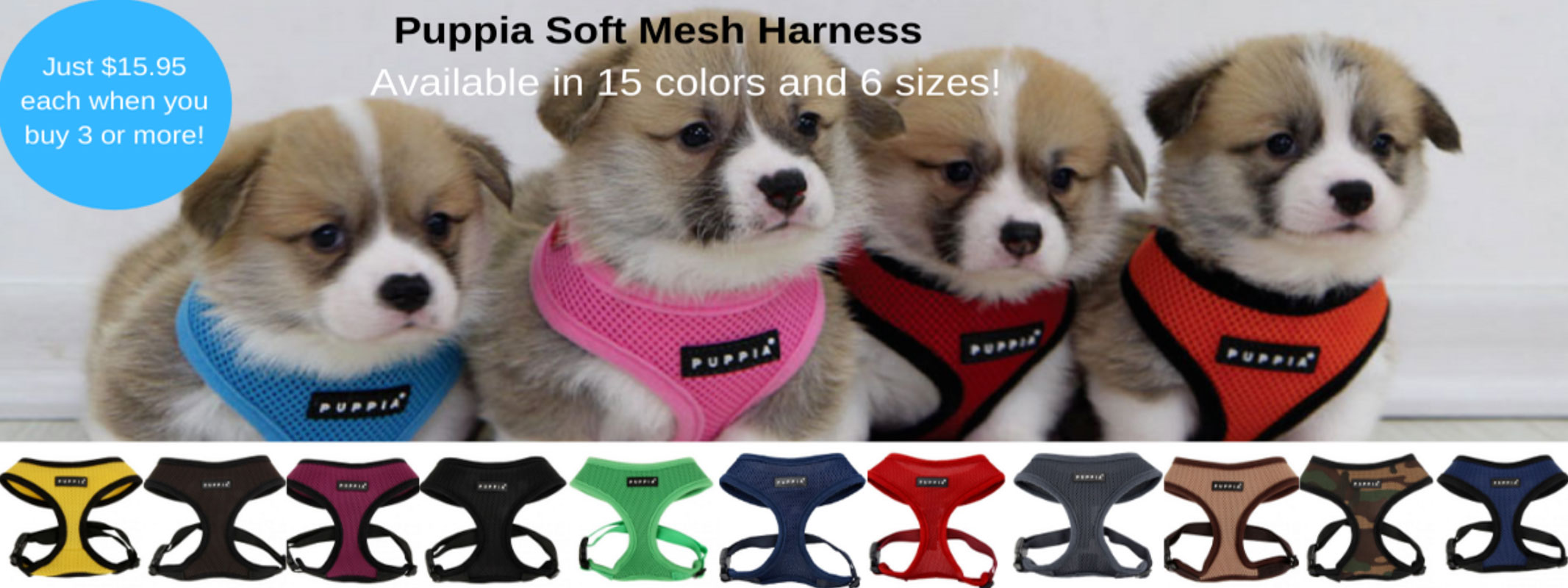 The New York Dog Shop Shop Online!