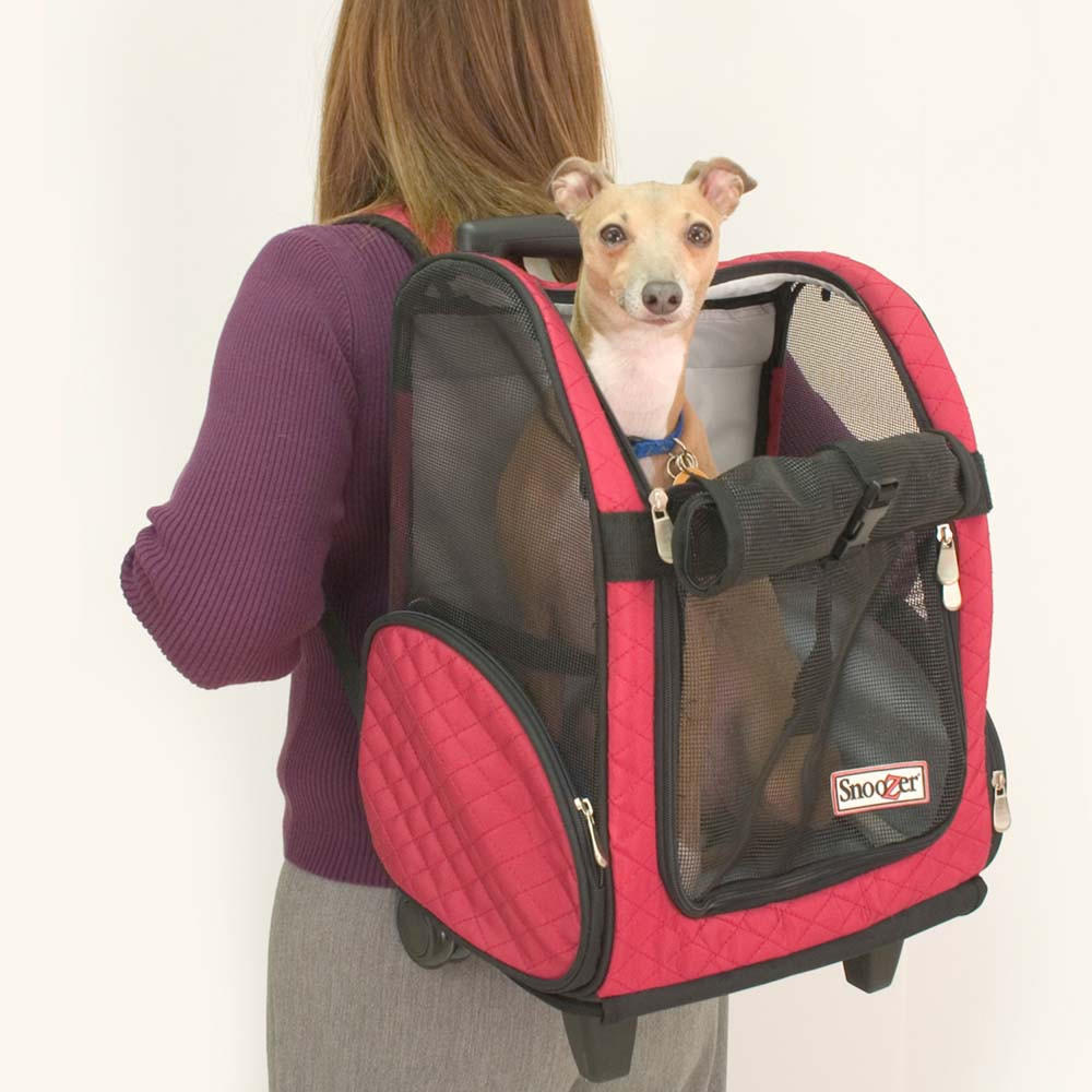 Snoozer Roll Around 4 in 1 Travel Carrier- Large