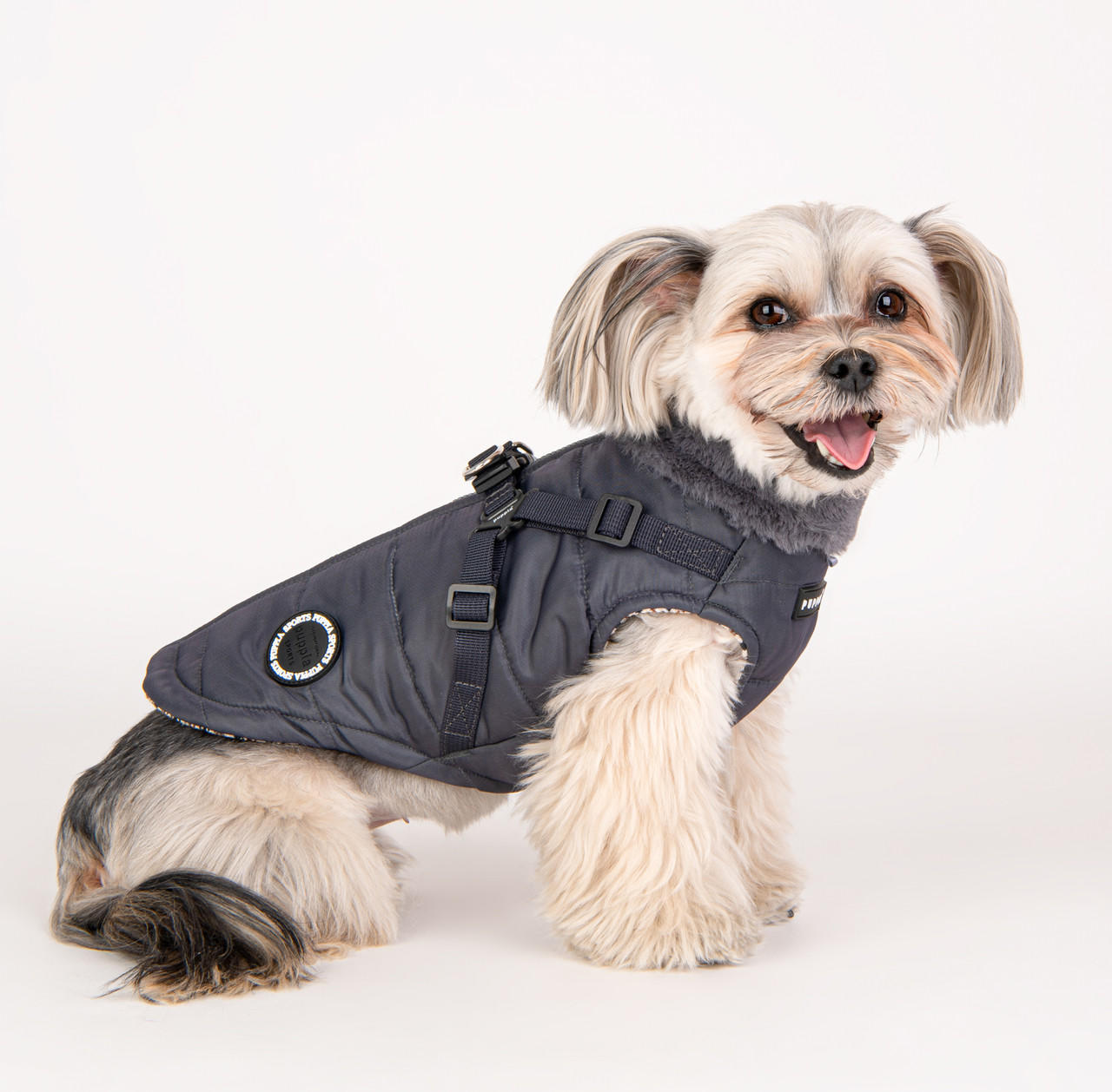 Puppia donovan