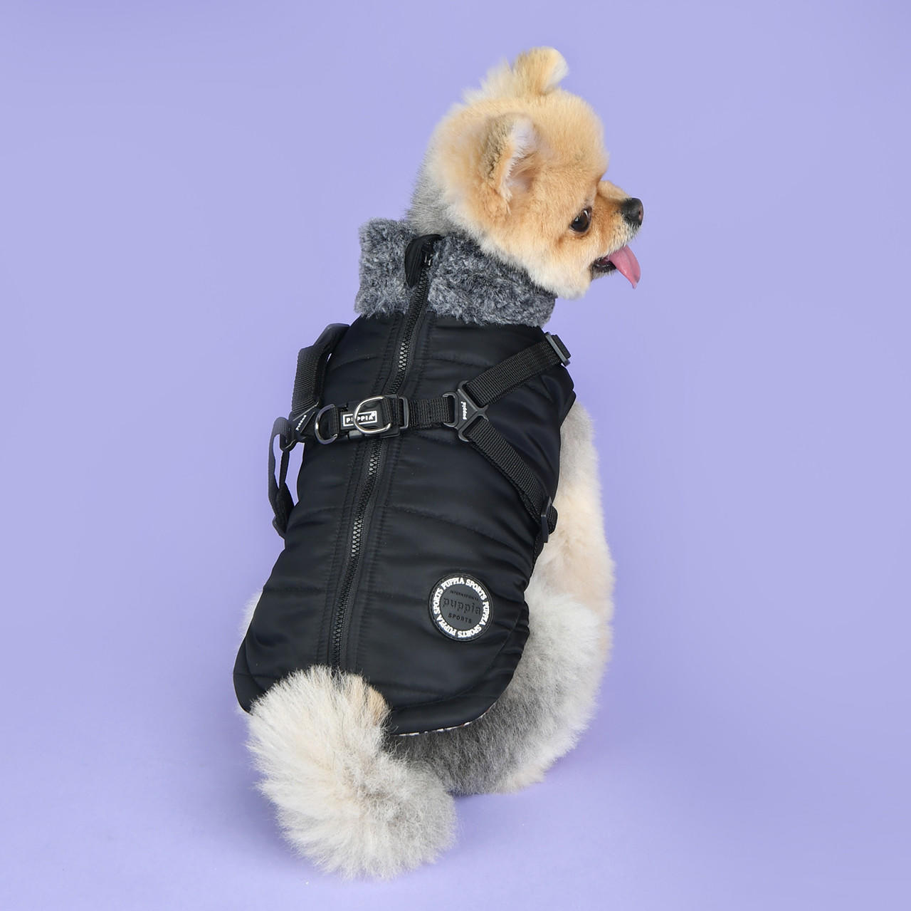 Puppia donovan