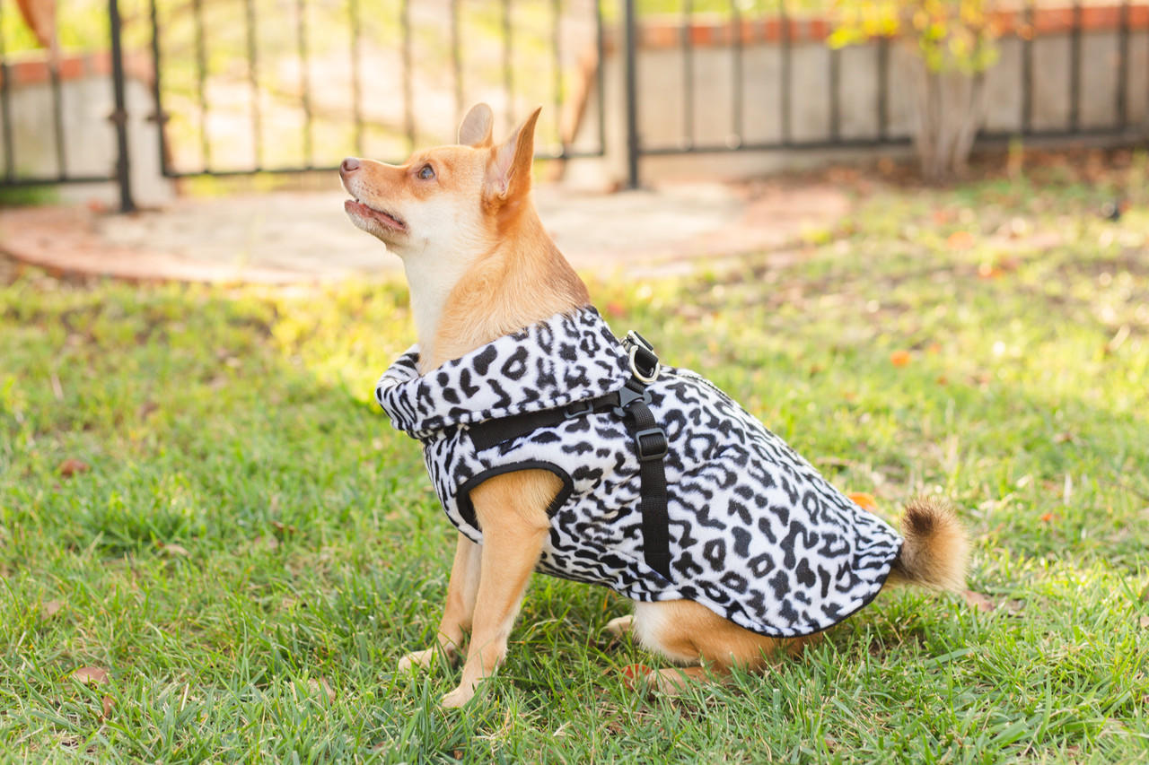 NYD Snow Leopard Plush Step In Jacket HarnessFINAL SALE The New York