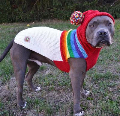 vintage dog sweater Vintage Dog Sweater