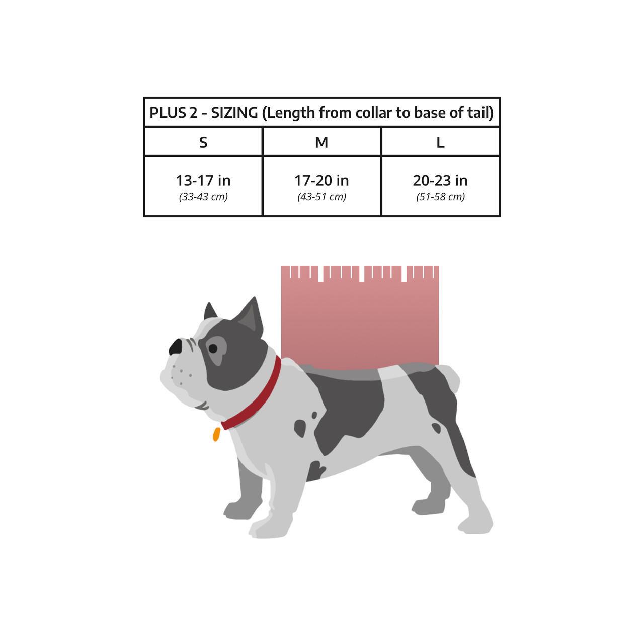 K9 Sport Sack Air Backpack