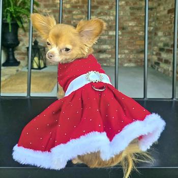 small dog christmas dresses Dress With Santa Hat your pet will be so cute wearing this fun dress! Chanana Pet Christmas Classic Dress