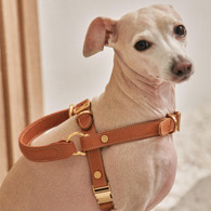  Kandog Leather Handle Harness 