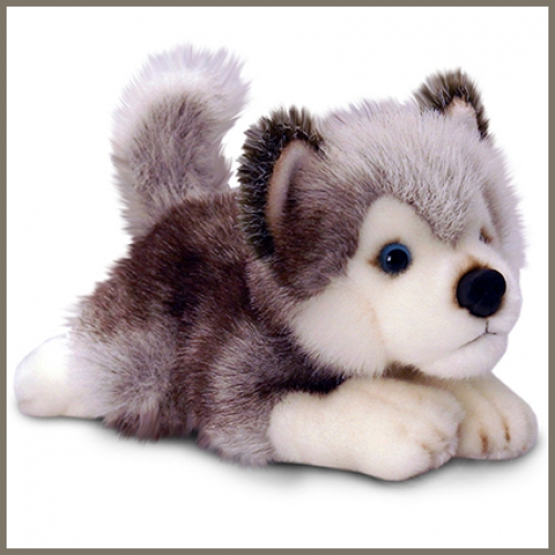 Husky dog plush toy with soft fabric, realistic facial features and a cuddly design. Suitable for gifts, hampers, children's presents and retail displays.