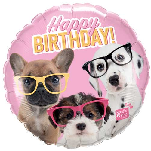 18 inch foil balloon featuring a Studio Pets Happy Birthday design.