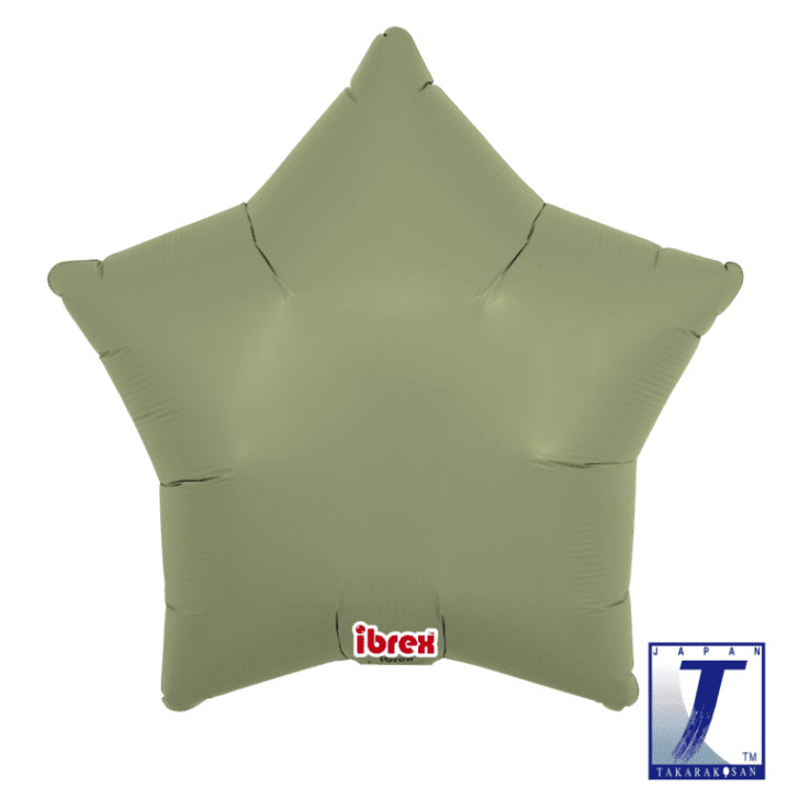 Foil Balloon Star Sage Green Air-Filled 15 inch - 5 pack